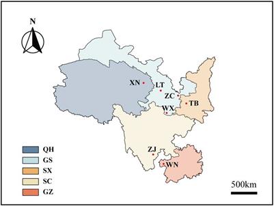 The diversity of endophytic fungi in Tartary buckwheat (Fagopyrum tataricum) and its correlation with flavonoids and phenotypic traits